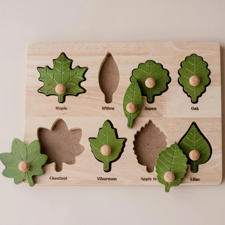 Q Toys | Montessori Leaf Puzzle