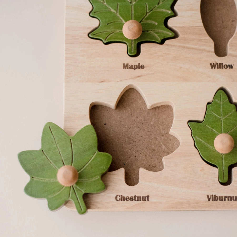 Q Toys | Montessori Leaf Puzzle