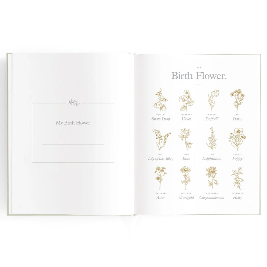 Fox & Fallow | Baby Book, Powder Blue