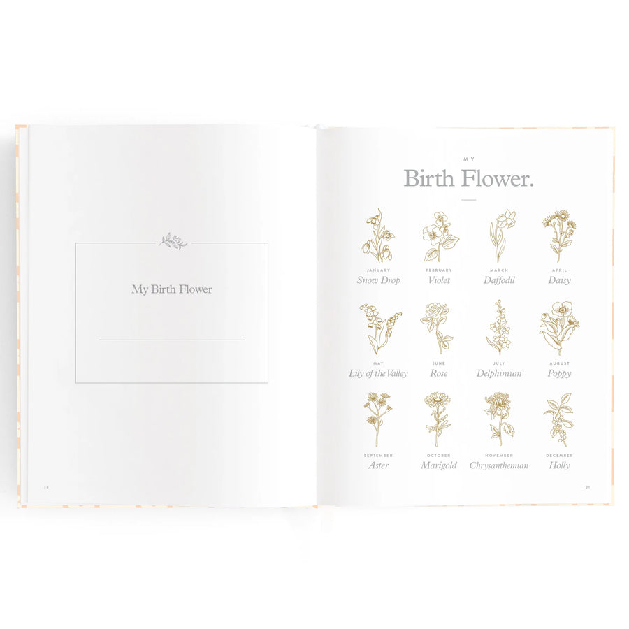 Fox & Fallow | Mini Baby Book, Bluebell