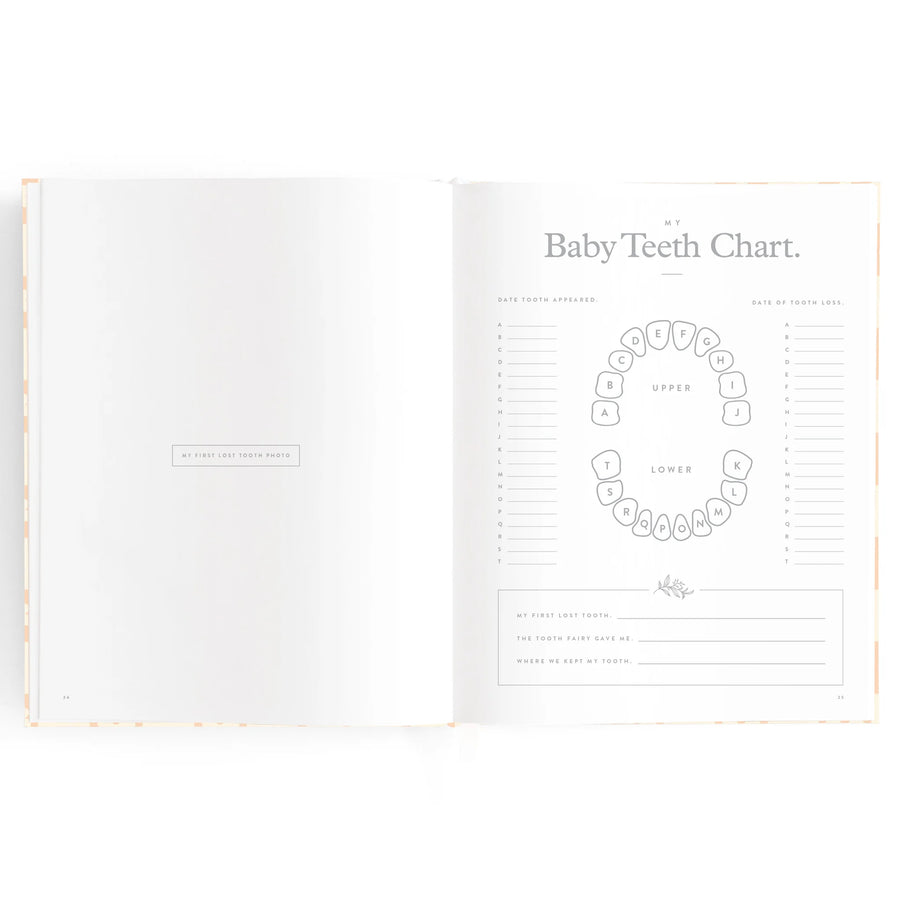 Fox & Fallow | Baby Book, Daisy Grid