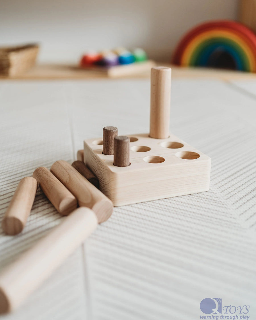 Q Toys | Montessori 9 Pole Puzzle