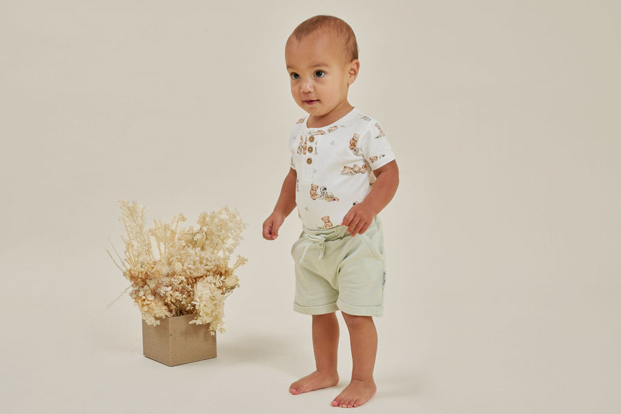 Aster & Oak | Short Sleeve Bodysuit, Teddy Picnic