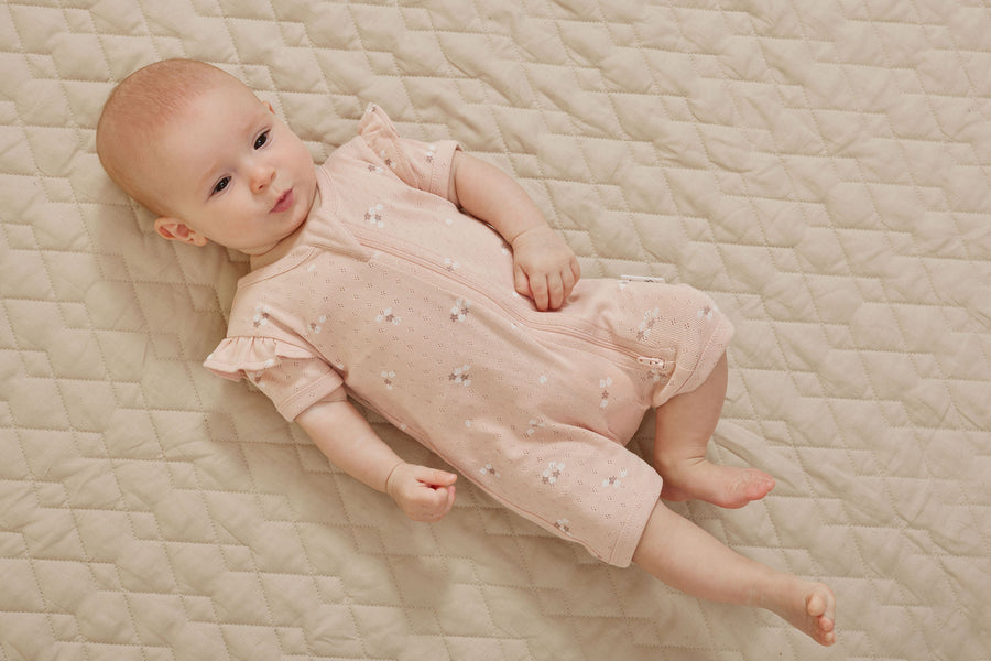 Aster & Oak | Pointelle Zip Romper, Petal